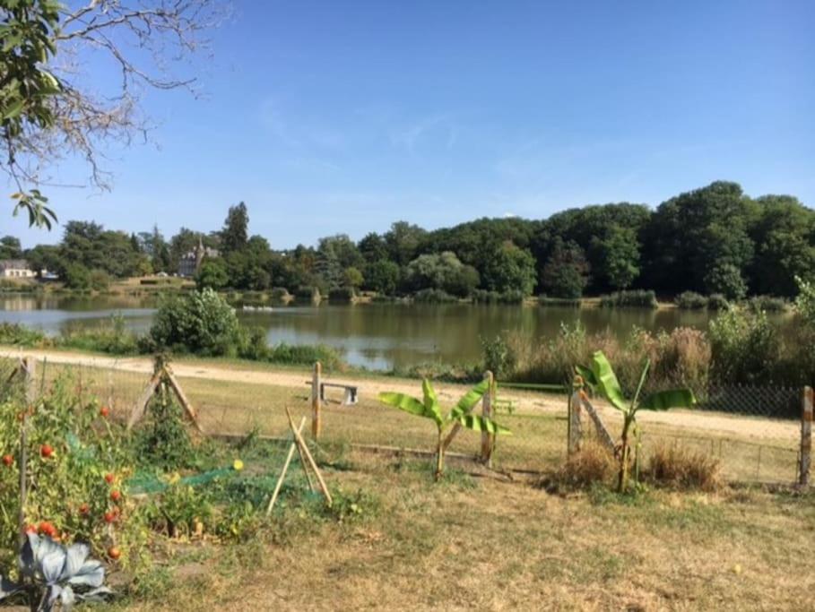 Maison Face A L'Etang Précy Dış mekan fotoğraf